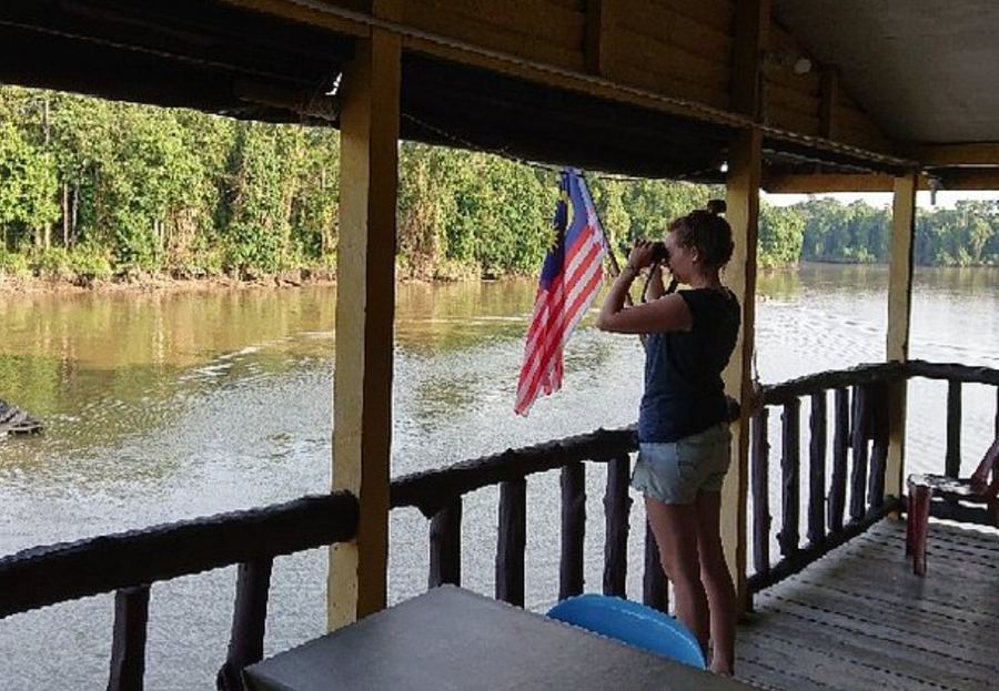 Kinabatangan wildlife